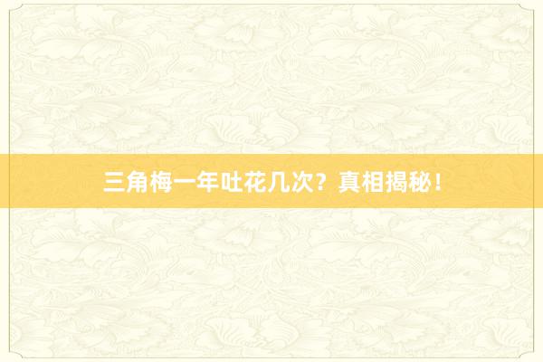 三角梅一年吐花几次？真相揭秘！