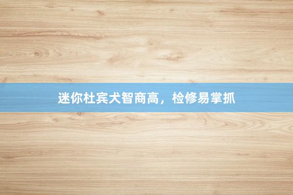 迷你杜宾犬智商高，检修易掌抓